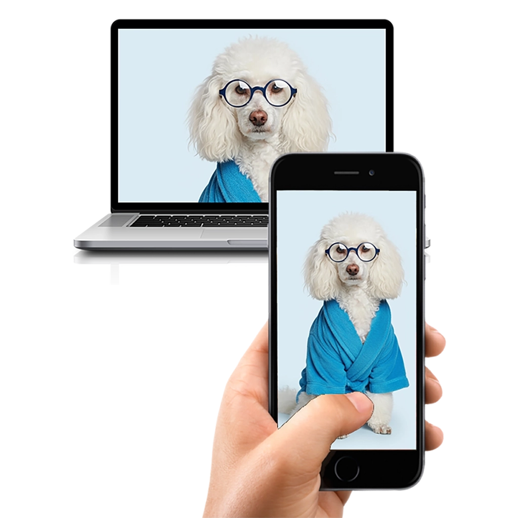 Portrait personnalisé d'un Caniche Spa sur numérique, créé par Mon Animal est Fantastique