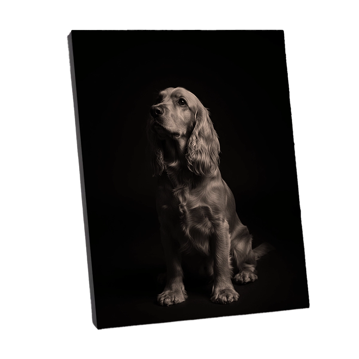 Portrait Studio Cocker personnalisable Toile, créé par Mon Animal est Fantastique