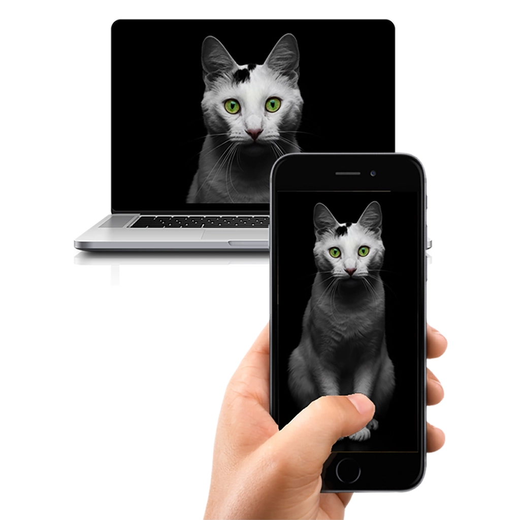 Portrait Chat Portrait Studio personnalisable numérique, créé par Mon Animal est Fantastique