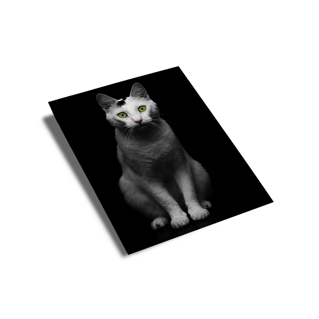 Portrait Chat Portrait Studio personnalisable Poster Papier, créé par Mon Animal est Fantastique