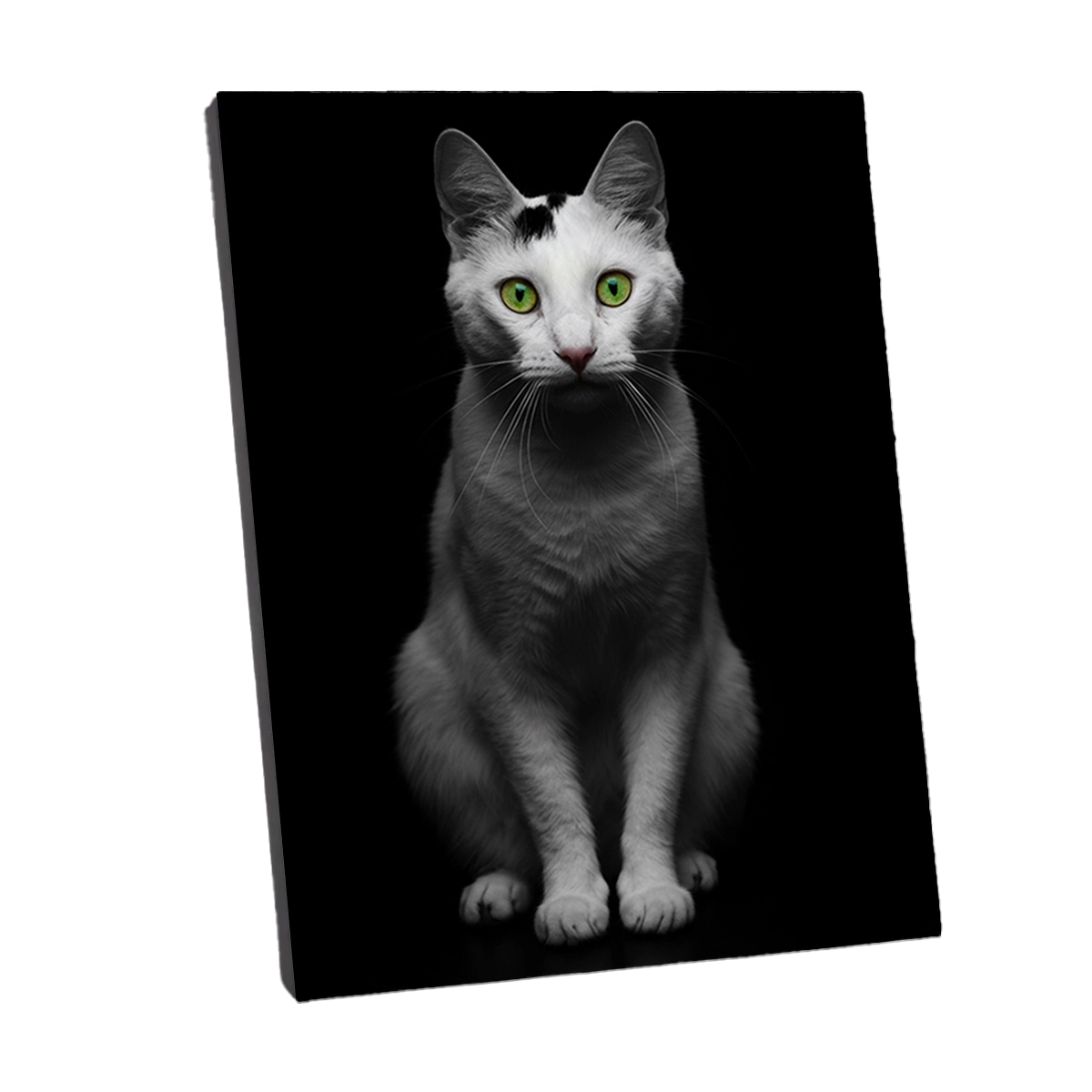 Portrait Chat Portrait Studio personnalisable Toile Châssis, créé par Mon Animal est Fantastique