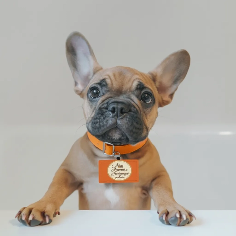 affilifation coupon Mon Animal est Fantastique